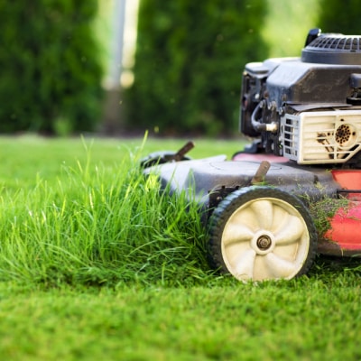 LAWN MAINTENANCE